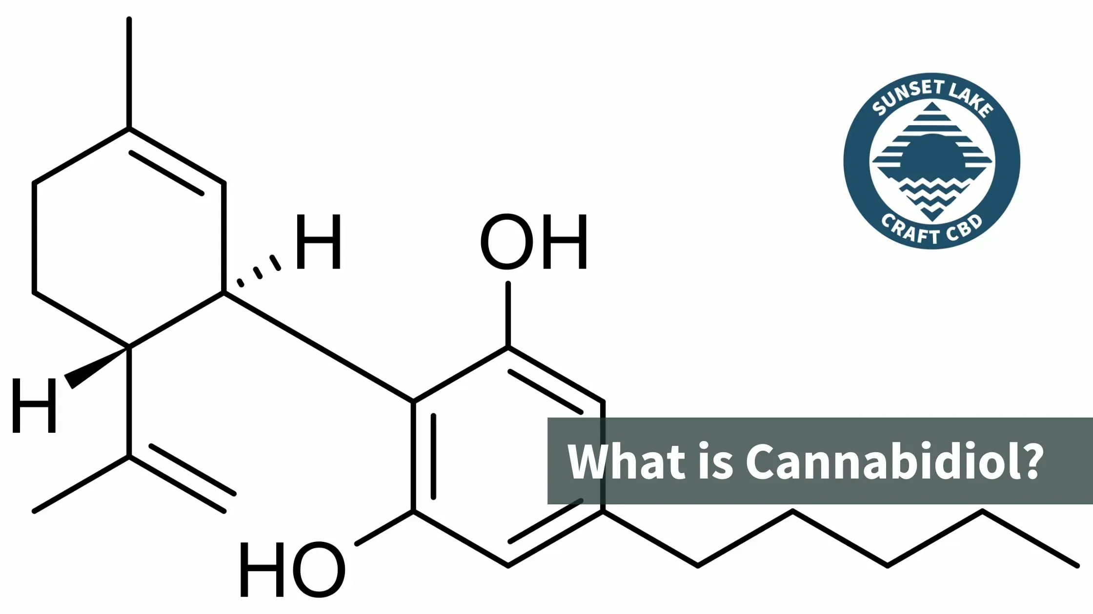 A model of Cannabidiol with text that reads "What is Cannabidiol?"