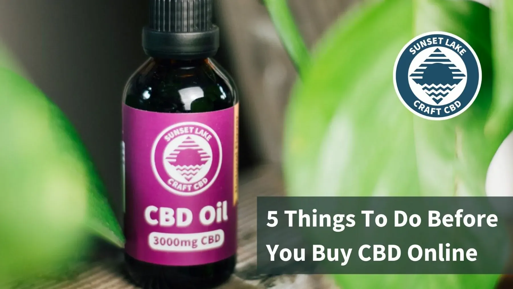 A bottle of CBD oil. Text that reads "5 Things to do before you buy CBD online"