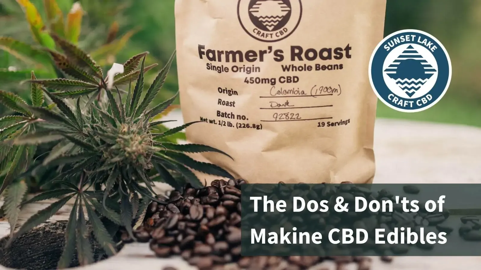 CBD coffee next to harvestable hemp. Text reads "The Dos and Don'ts of Making CBD Edibles"