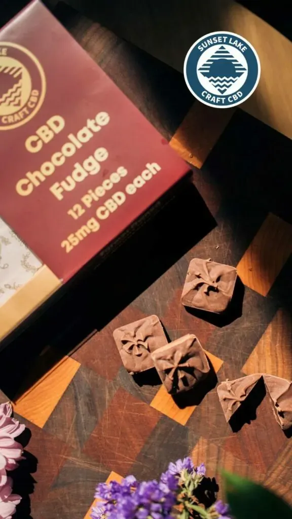 A box of CBD Chocolate Fudge with pre portioned pieces