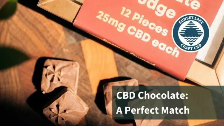 Pieces of CBD Chocolate Fudge next to box. Text reads "CBD Chocolate: A Perfect Match"