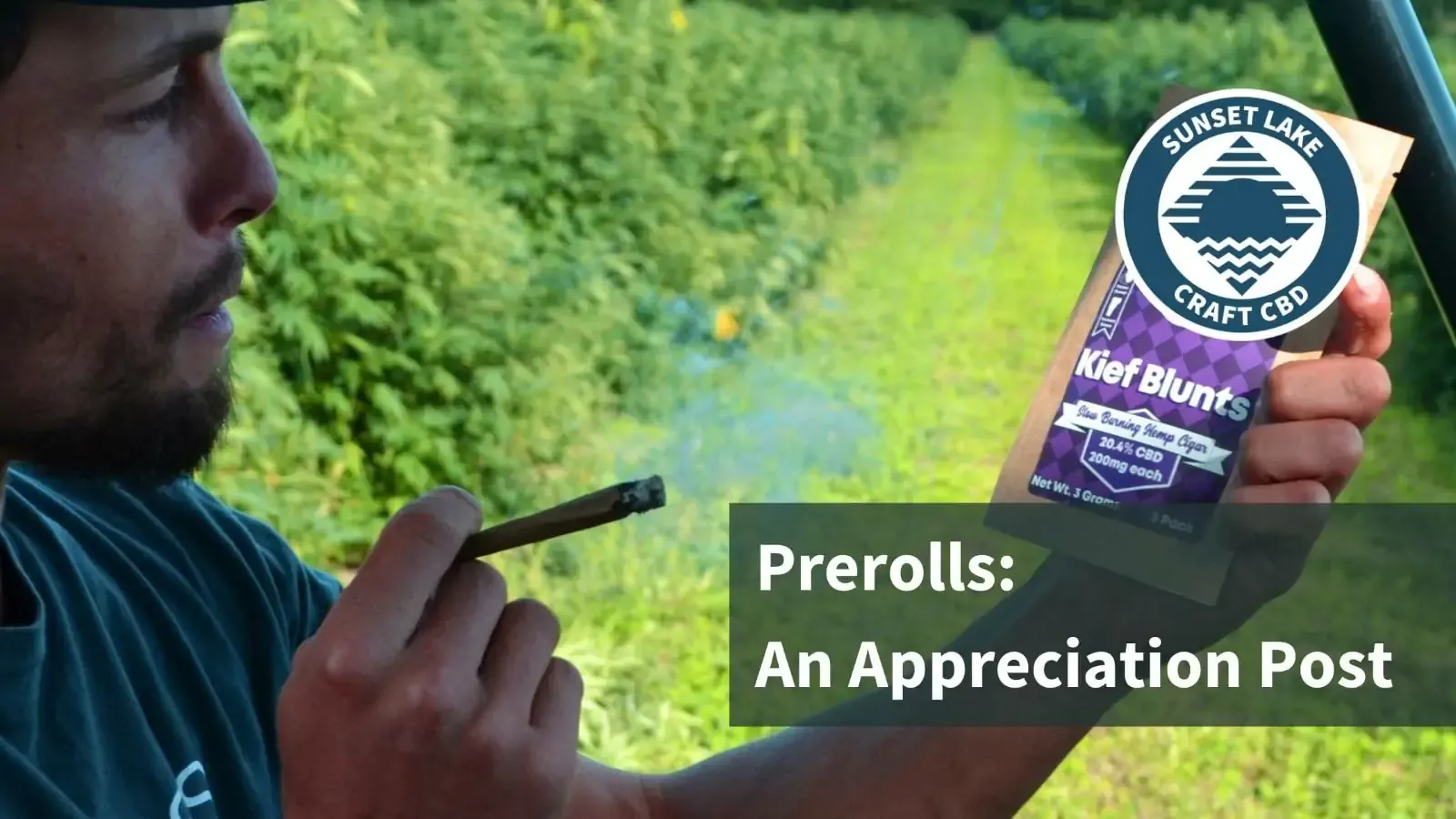 A man smoking a preroll. Text reads "Prerolls: An appreciation post"