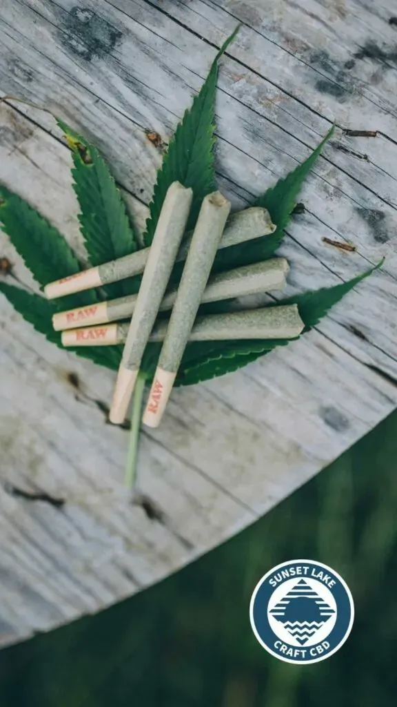 Five prerolled joints laid across a hemp leaf