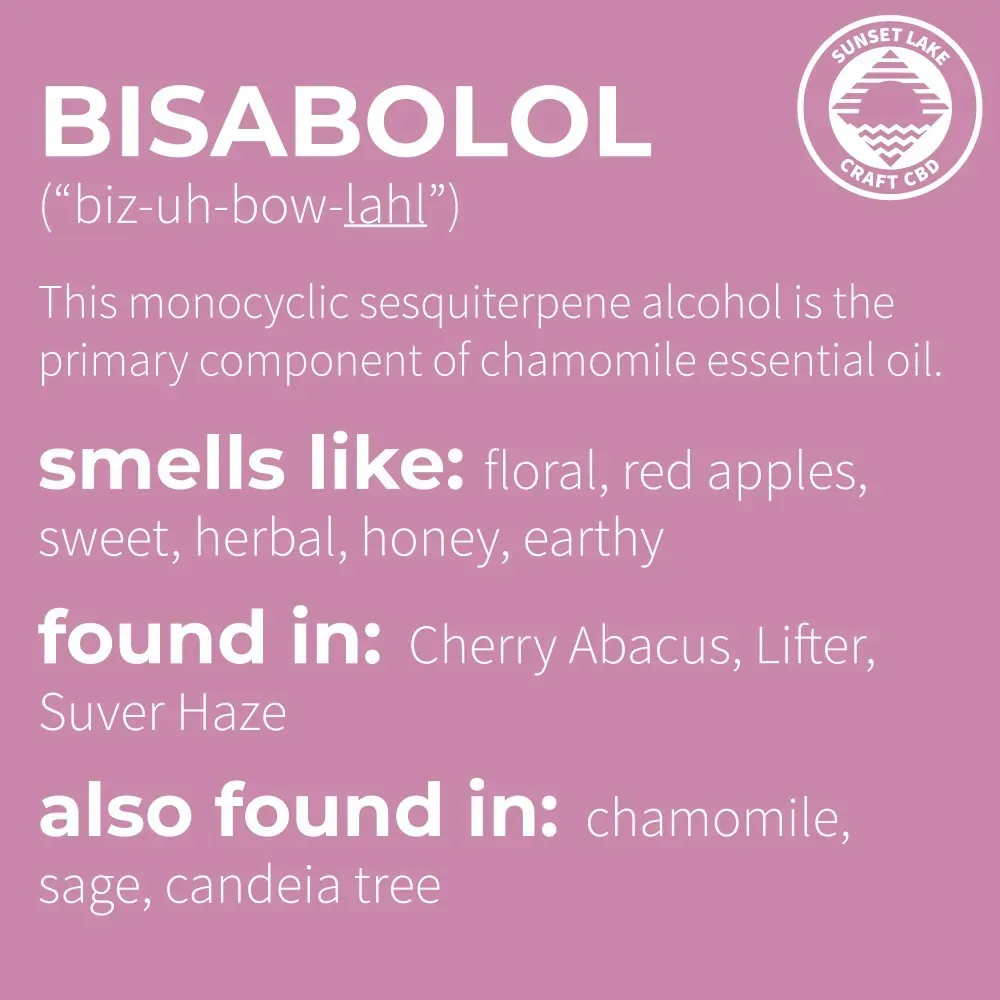 A pink infographic about the terpene Bisabolol