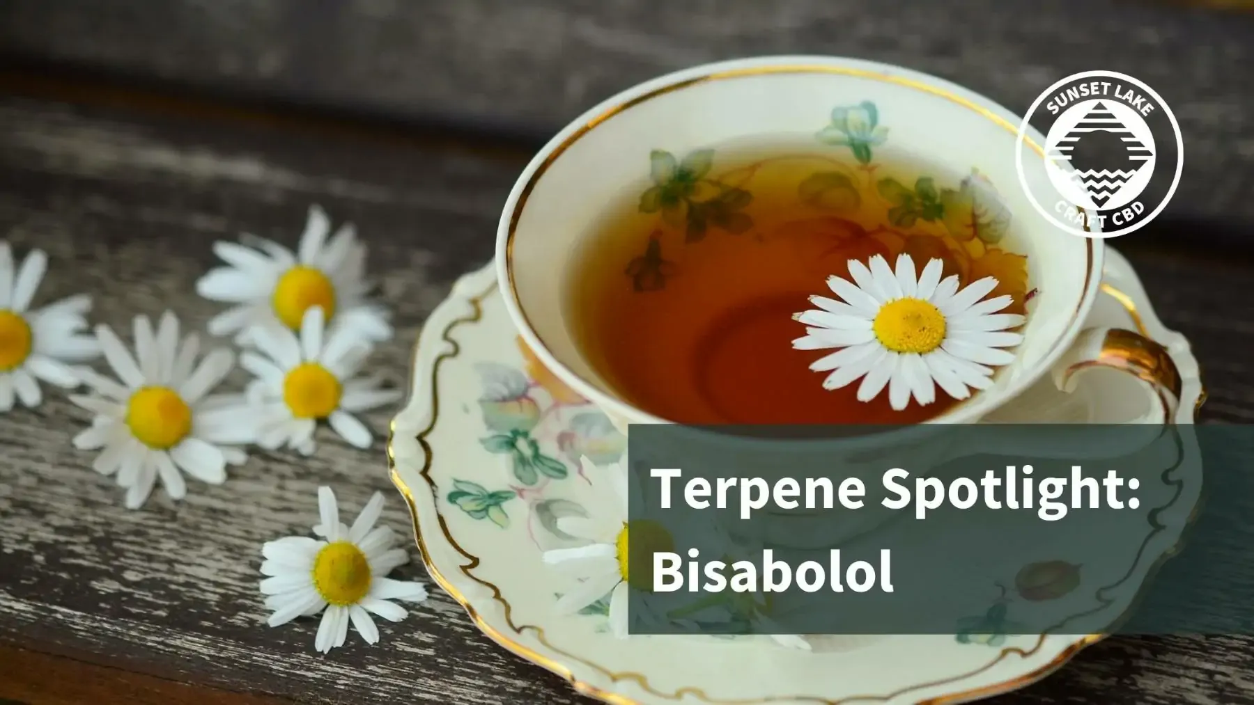 A cup of chamomile tea with the text "terpene spotlight: bisabolol"